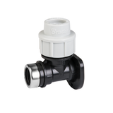 PE-Wandplatte 25 mm x 3/4 Zoll Innengewinde – Bradas PN16 Verschraubung für Bewässerung und Wasserleitungen