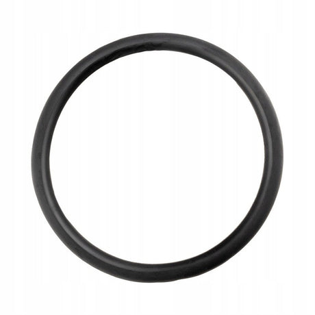 Dichtungsring für Pelletöfen Rauchgasabzug